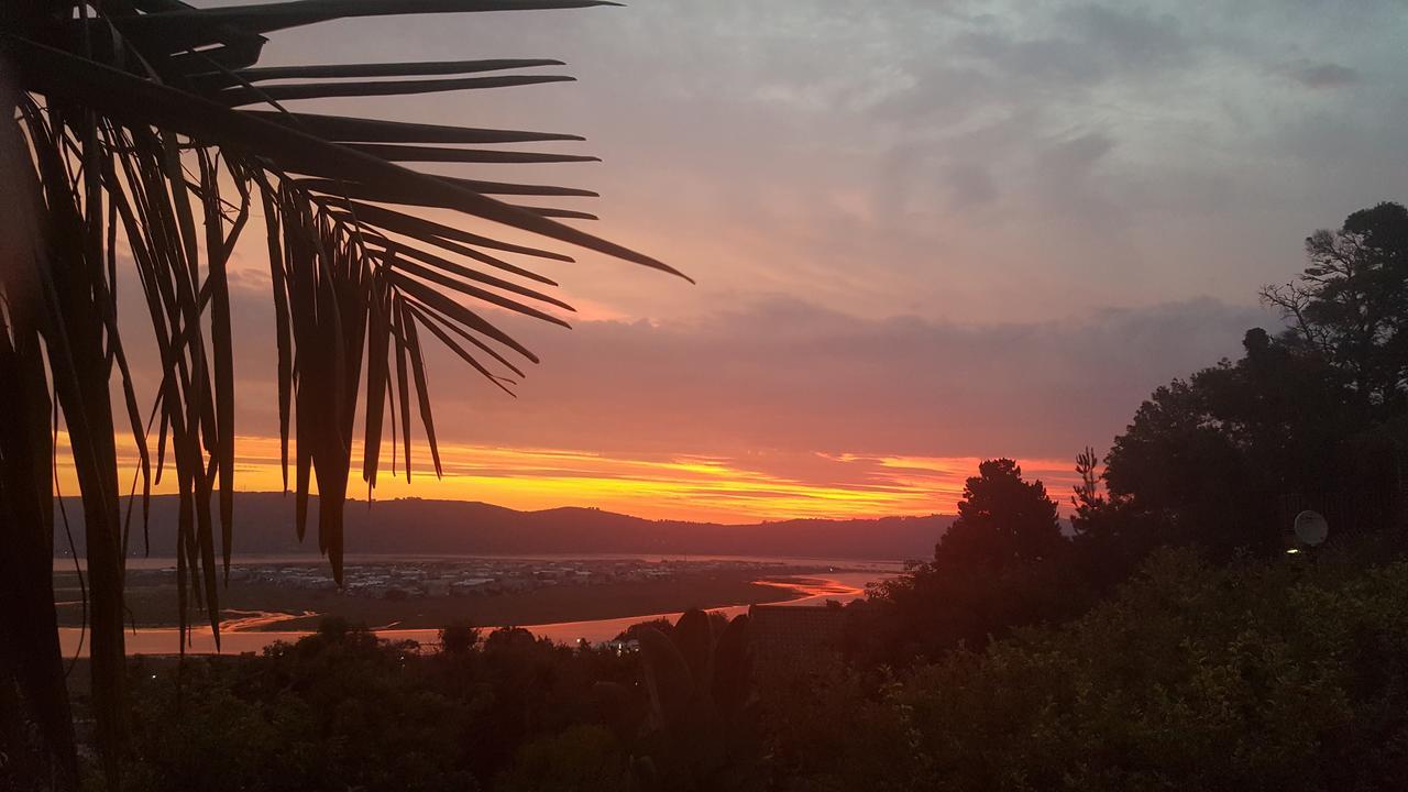 Big Tree House Lodge Knysna Exterior photo