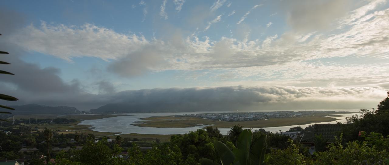 Big Tree House Lodge Knysna Exterior photo
