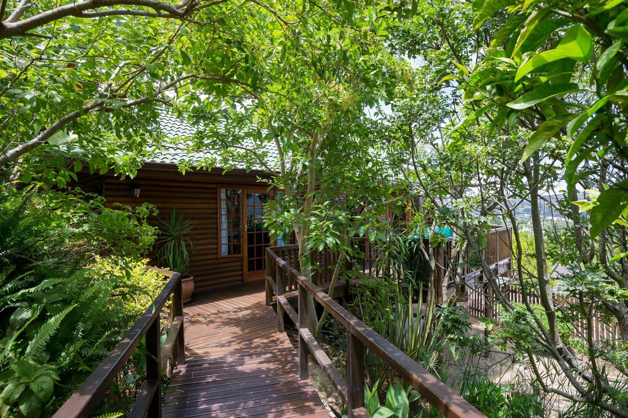 Big Tree House Lodge Knysna Exterior photo