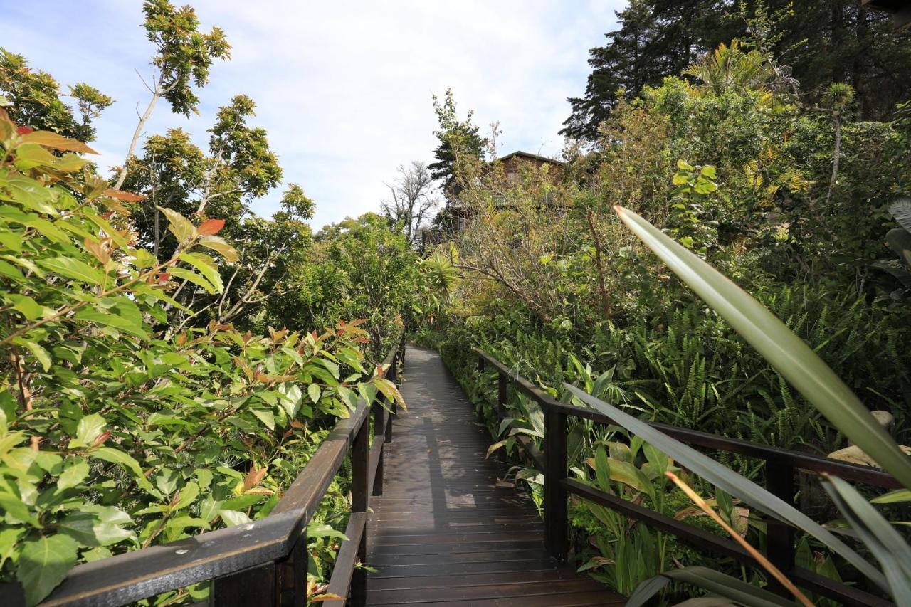 Big Tree House Lodge Knysna Exterior photo
